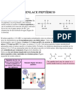 El Enlace Peptídico