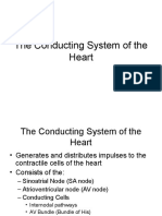 The Conducting System of The Heart