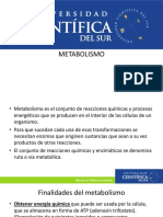 METABOLISMO CELULAR..pdf