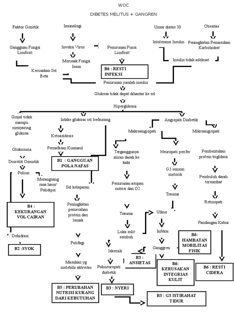 Woc DM + Gangren | PDF | Kesehatan Holistik