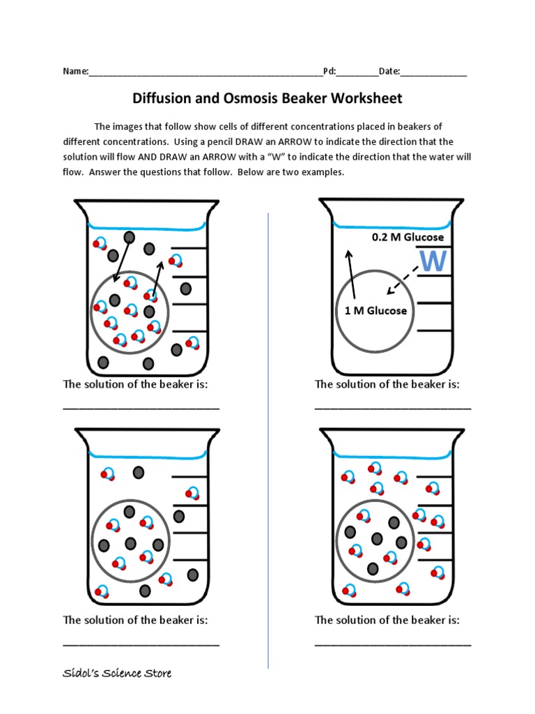Osmosis And Diffusion Worksheet Osmosis Molecular Biology