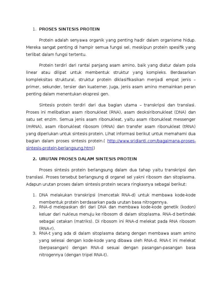 Proses Sintesis Protein