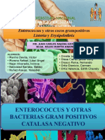 Emterococcus y Otros Cocos Gram (+), Listeria y Erysipelothrix