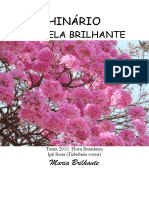 Maria Brilhante - Estrela Brilhante - Tablet