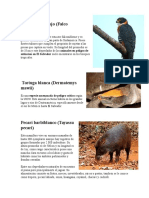 Animales en Peligro de Extincion Els Alvador