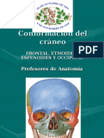 Cráneo 1-RiosCrespo