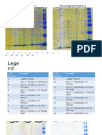 Rav-Z Eluted With LC3 Rav-Z Digested With LC3