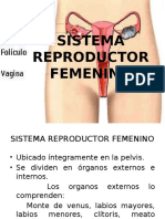 El Sistema Reproductor Femenino