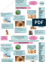 Situacion Nueva Actividad 2