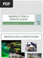 05.- Producción o Explotación-1