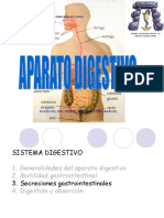 Fisiologia Digestivo Ok