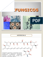 Anti Fungi Cos