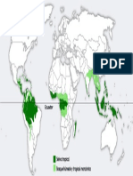 Selva y Bosque Tropical - MAPA