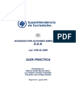 Guia Practica SAS (7).pdf