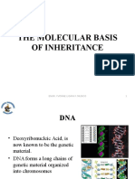 Chapter 8 - Molecular Basis of Inheritance