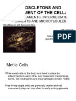 Cytoscleton & Cell Movements 1