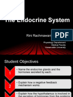 2 Faal Endokrin-Metabolik