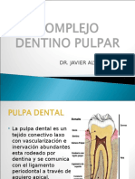 Histologia