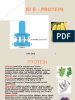 PROTEIN6