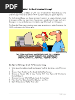 Download What is the Extended Essay by Ravi Kumudesh SN326928099 doc pdf