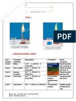 Résumé Test D'identification