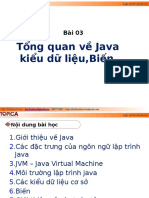 Document - Tong Quan Java