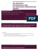 Psicologia Dos Adultos - Seminário