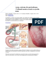 Eliminare Toxine Din Corp