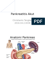 Pankreatitis Akut