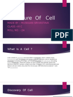 Structure of Cell: Made by - Muskaan Srivastava Class - Ix C Roll No. - 24