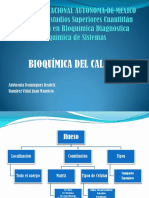 Bioquímica Del Calcio