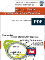 Curs 1 Boala Glomerulara Sau Vasculita Nefrologie