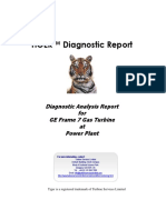 Example Diagnostic Report - us.pdf