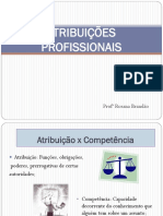 ATRIBUIÇÕES PROFISSIONAIS _completa.pdf