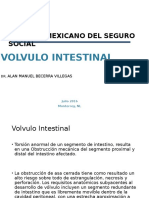 Volvulo Intestinal