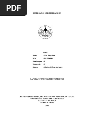 Morfologi Umum Serangga