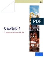 CAP01.pdf