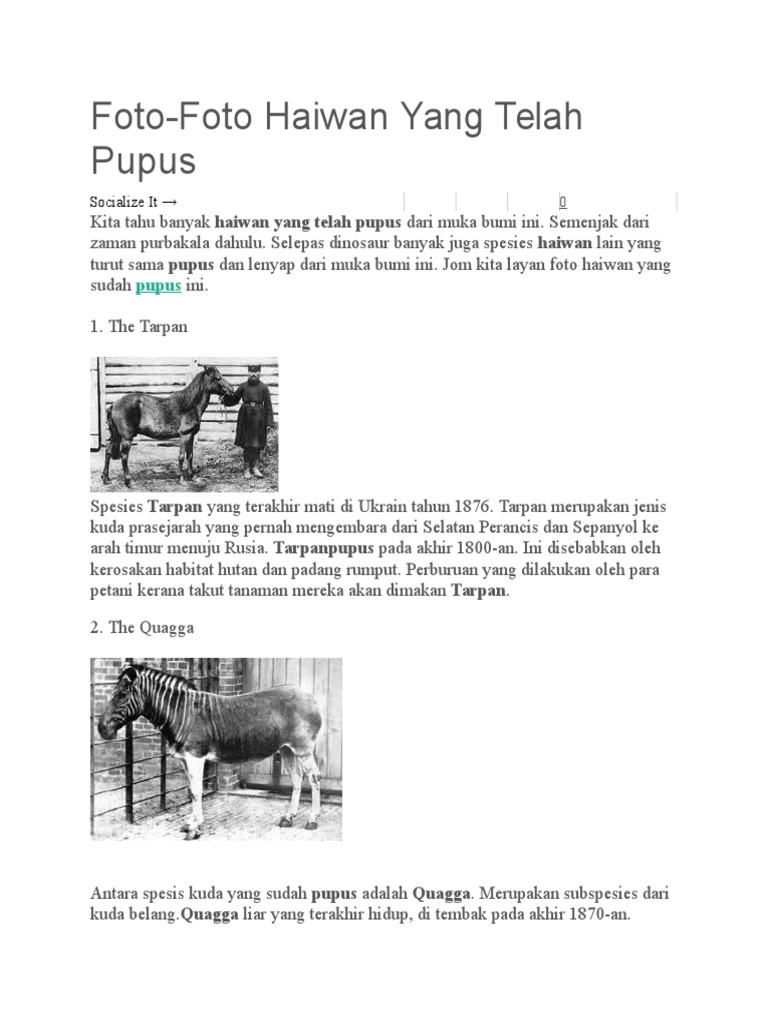 Foto Haiwan Pupus Pdf