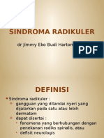 Sindroma Radikuler