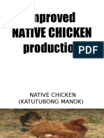 ICFP Native Chicken Presentation