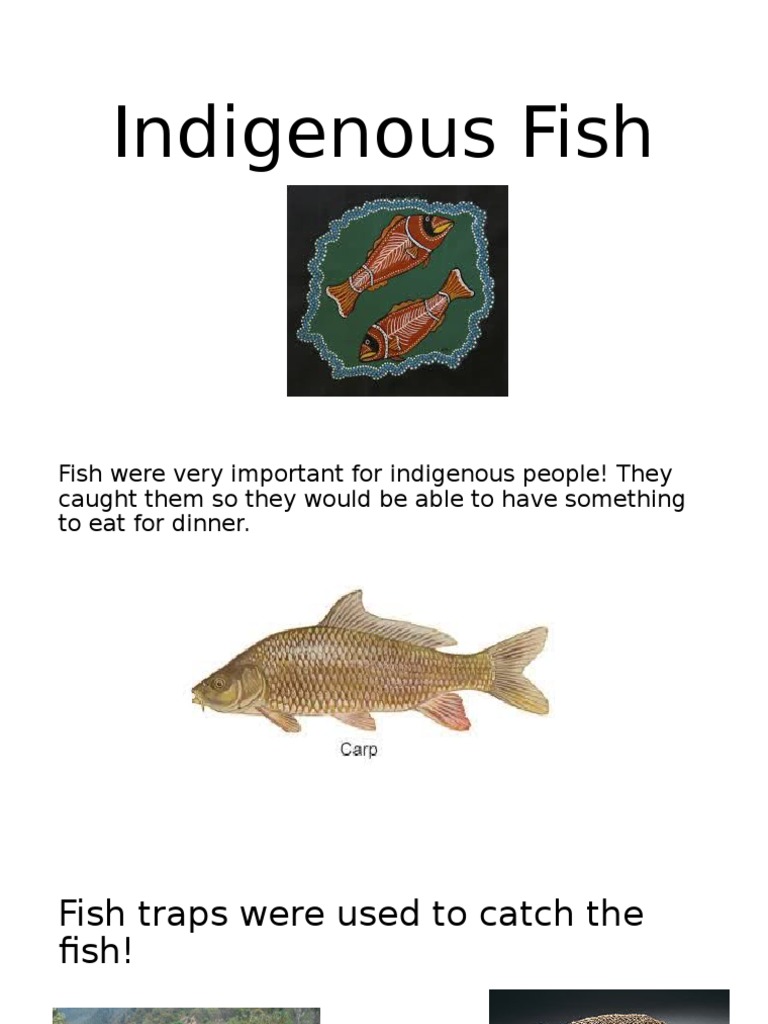 Importance of Fish to Indigenous Peoples | PDF | Cooking, Food & Wine