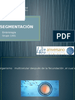 Segmentacion 1301