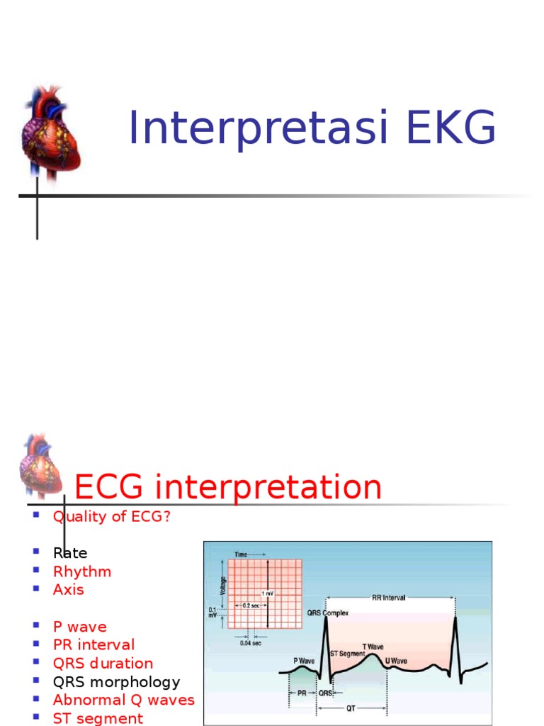 Interpretasi Ekg Pdf Electrocardiography Cardiovascular System