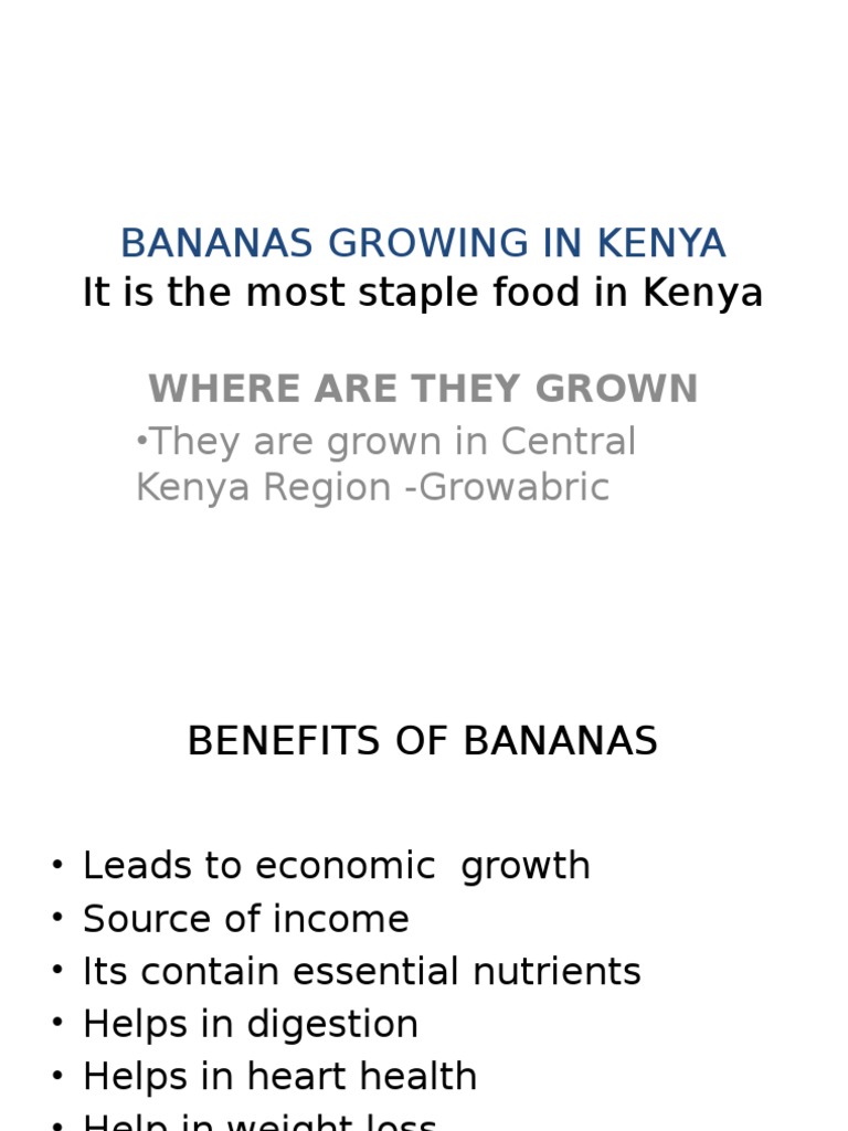 Bananas Growing in Kenya It Is The Most Staple Food in Kenya PDF Food And Drink Agriculture
