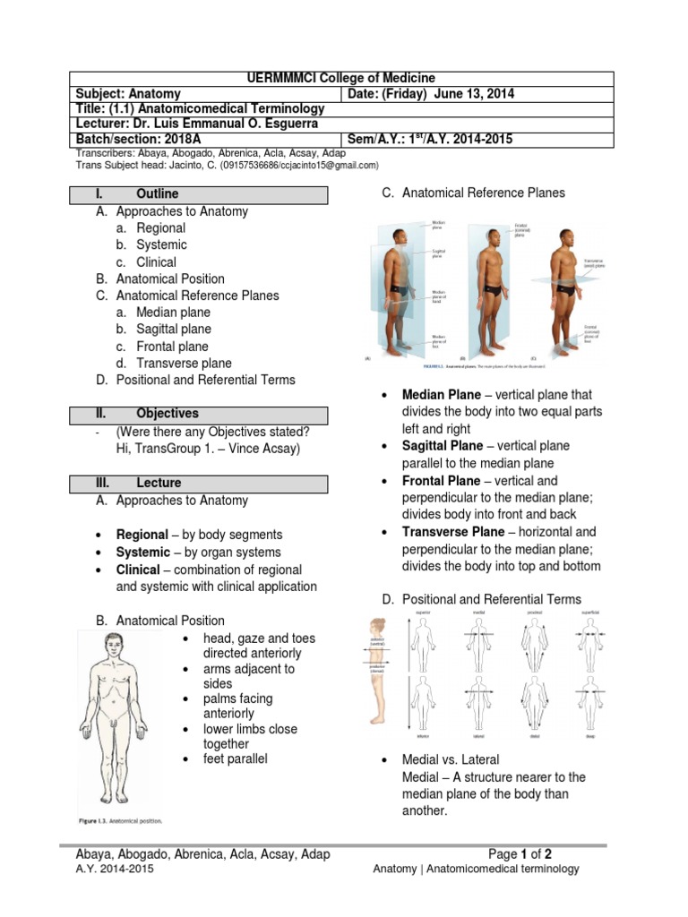 Anatomy 1.1 Terminology PDF Anatomical Terms Of