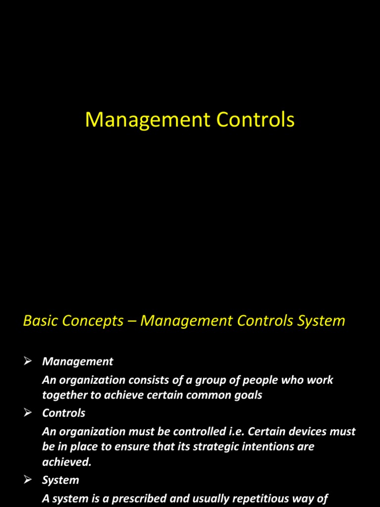 Understanding Management Control Systems | PDF