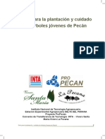 INTA_Guia_de_plantacion_Pecan.pdf.pdf