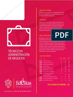 tecnico-administracion-negocios.pdf