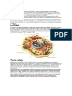 Introducción Celula