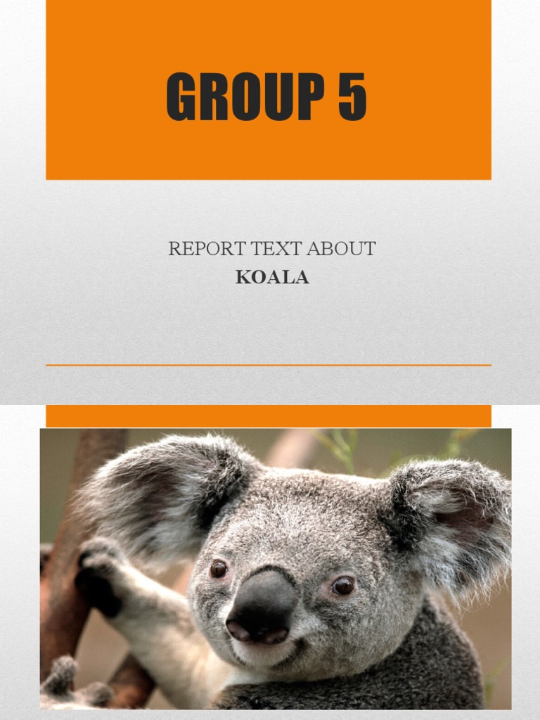 Group 5: Report Text About | PDF